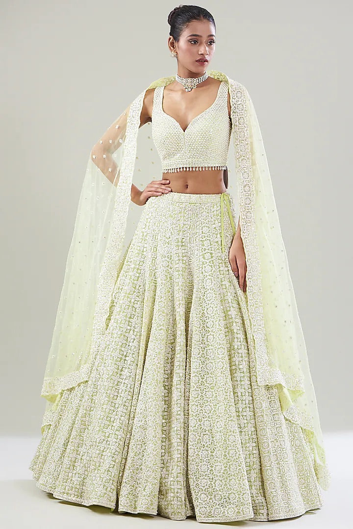 Lime Net Pearl Embroidered Lehenga set