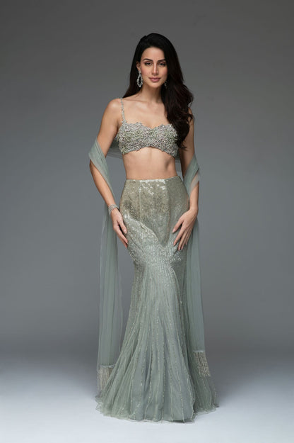 Rent Frosted Grey tulle set
