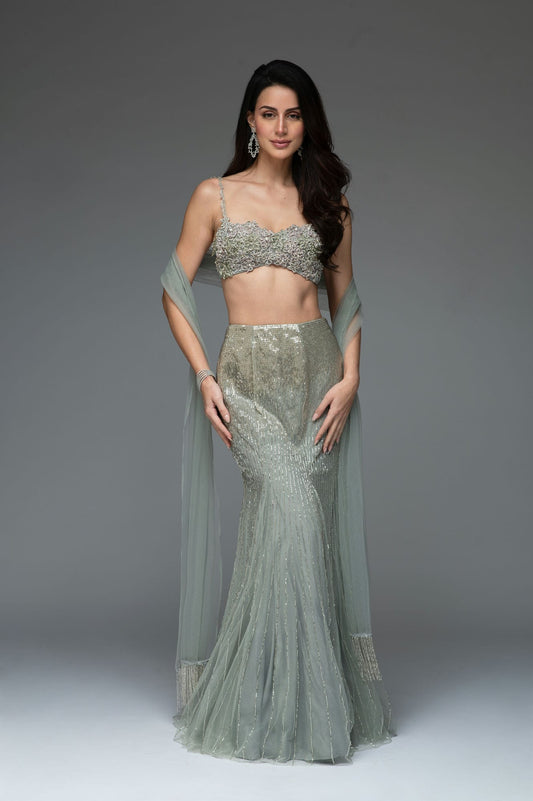 Rent Frosted Grey tulle set