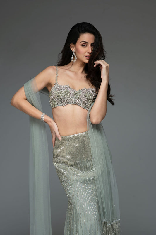 Rent Frosted Grey tulle set