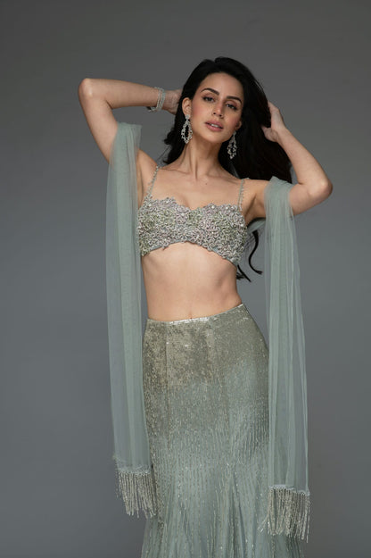 Rent Frosted Grey tulle set