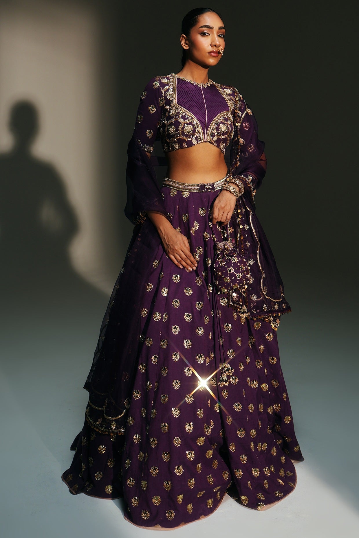 Rent Mahima Mahajan Grapevine Banarasi Silk Chanderi Lehenga Set