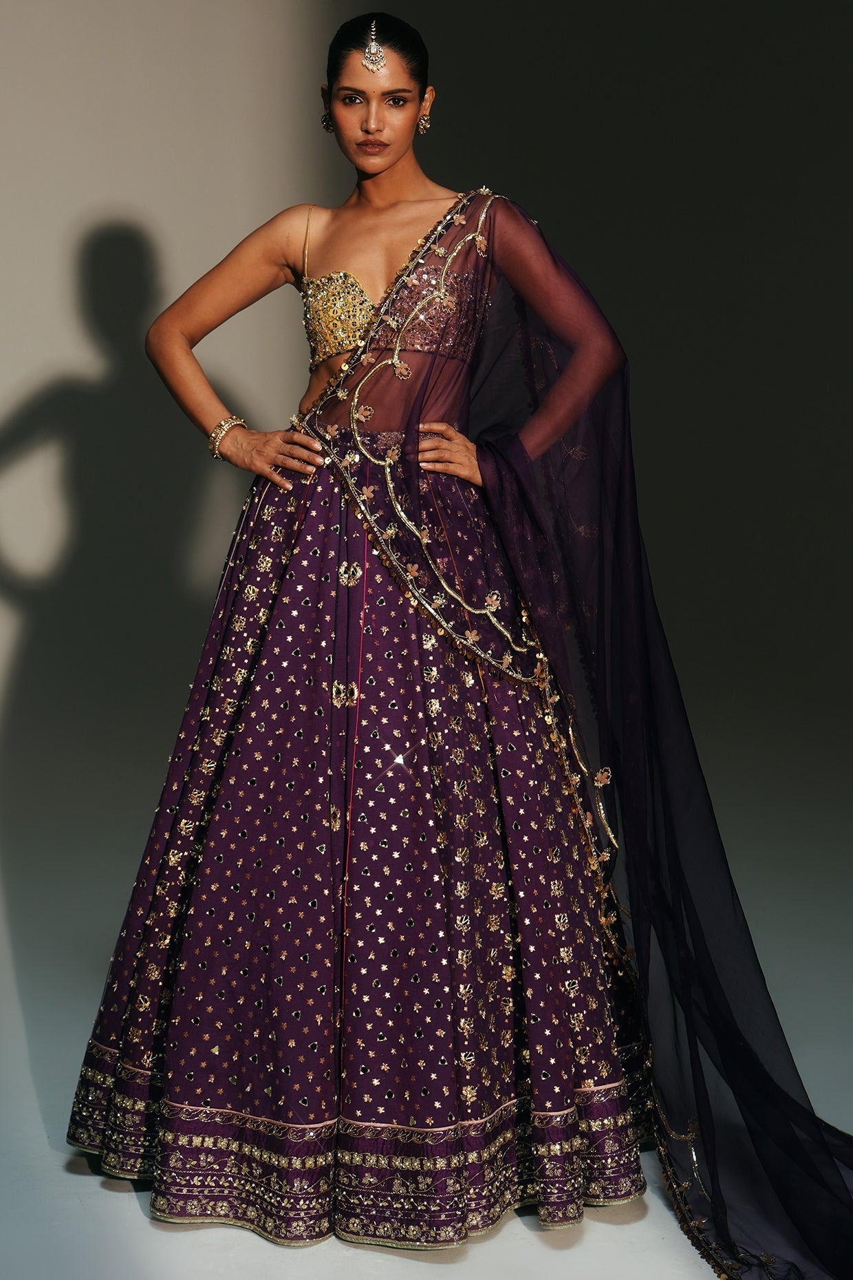 Rent Mahima Mahajan Grapevine Banarasi Silk Chanderi Lehenga Set