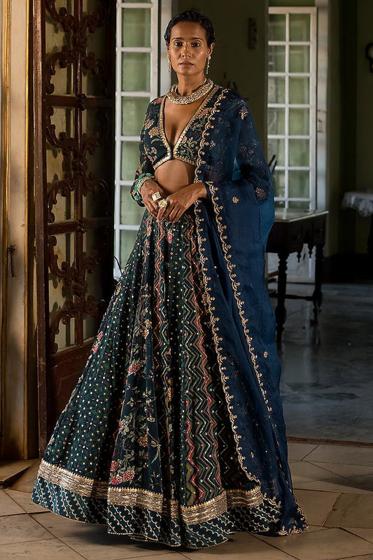 paulmi-harsh-navy-blue-organza-printed-lehenga-set