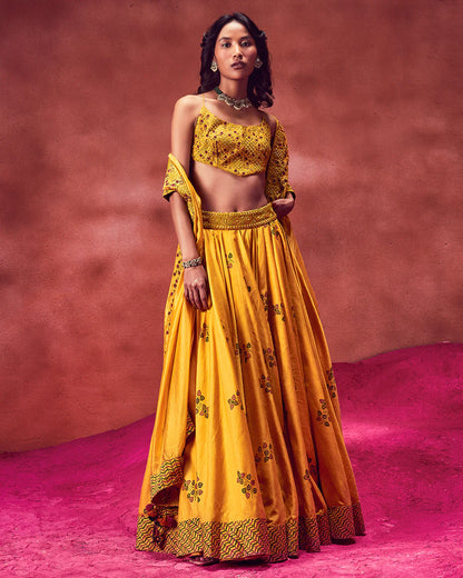 Punit-Balana-Yellow-Printed-And-Embroidery-Lehenga-Set